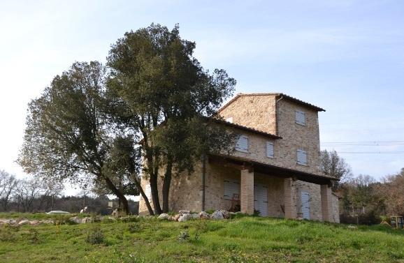 Agriturismo Surripa Amelia Kültér fotó